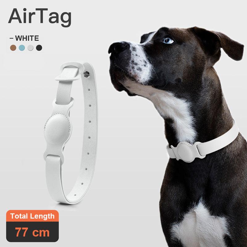 Petsafe Leather Anti-Lost Device Collar Chain - Stylish Protection For Your Furry Friend